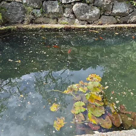 아파트 De La Source Casanova