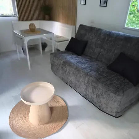 Apartment De La Source